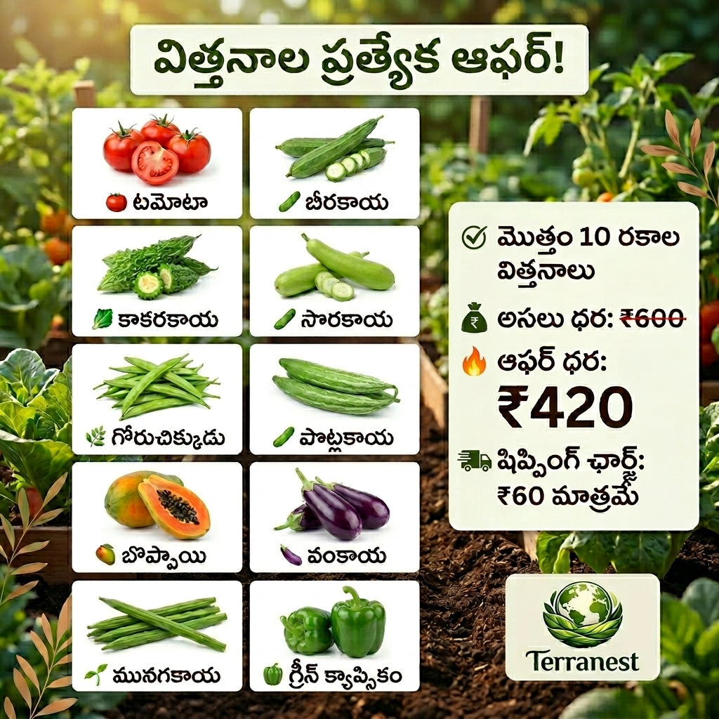 Desi Vegetable Seeds